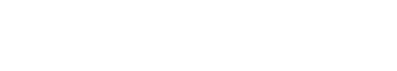 Conscious Futures